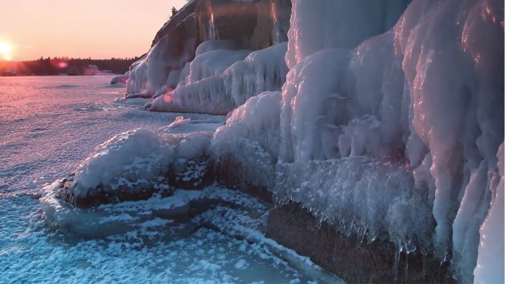 Naomi Charlotte Wellness