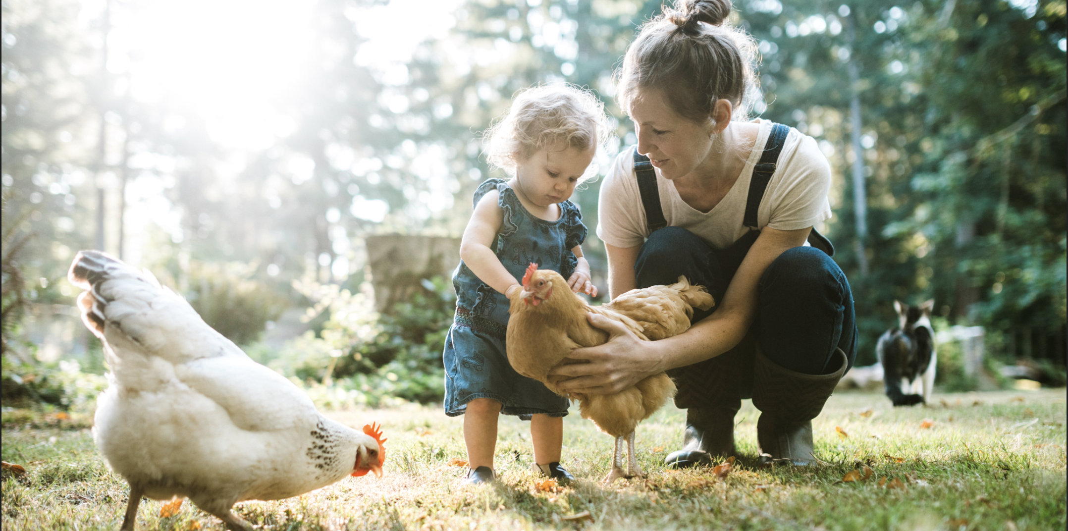 Ambleford Kids Holiday Clubs