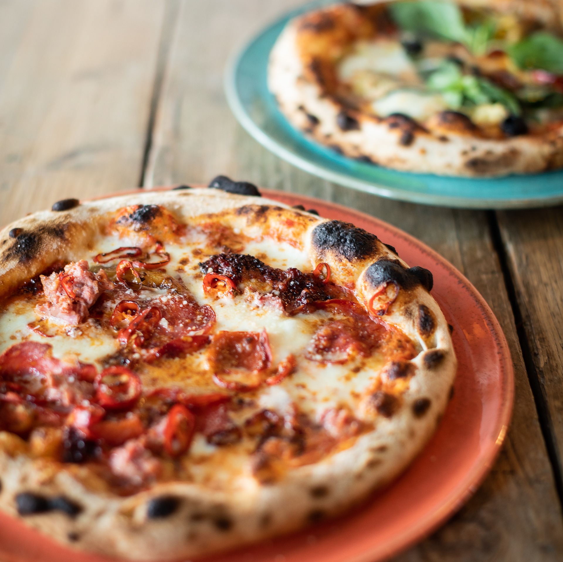 Shuffle House: A review by Bibi Roy - image